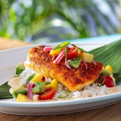 Island Snapper - Seared over white rice, topped with a mango-avocado salsa, pickled red onions and our housemade Key lime butter sauce.