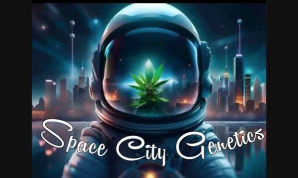 One man team at Space City Genetics..would love to collab with like minded individuals from my city Houston