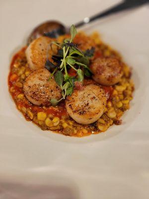 Scallops