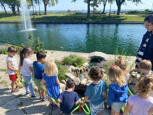 Taking a walk to the nearby duck pond.