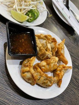 Viet potstickers