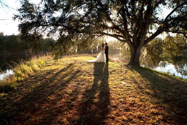 Wedding Day