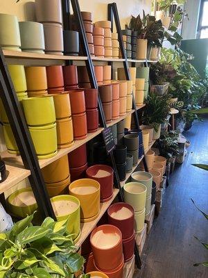 The selection of planters by Momma Pots