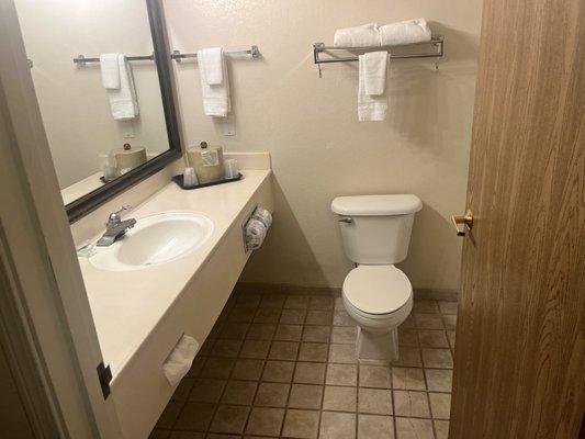 That toilet. Won't flush a deuce. And will run if the handle isn't pulled up.