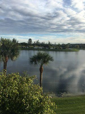 More palm trees and the lake