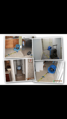 Protect your indoor air quality and health with Mold Cleanup services from Restore Experts Inc in Margate, FL...