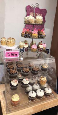 Jumbo cupcakes available daily