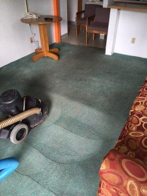 Here's a hotel in the Roseburg area.  Carpets look and smell great now!