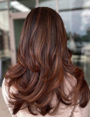 Brunette with beautiful copper brown Highlights, and a bouncy blowout to complete the look.