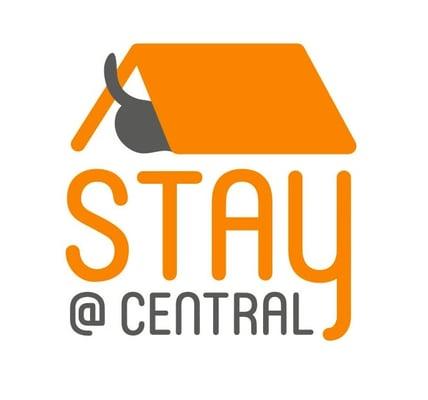 Stay! @ Central AAHA accredited boarding, grooming, daycare, training.  Now open!