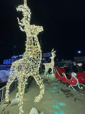 Photo op sleigh and huge reindeer!