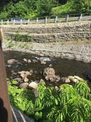 Wilson Stream next to the outdoor dining area