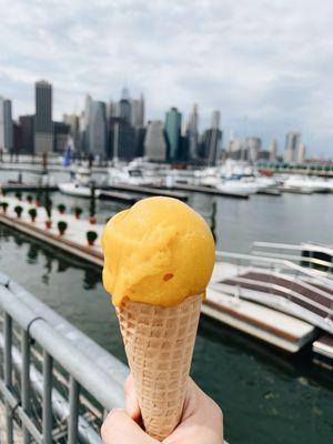 Mango Sorbet