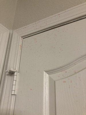 Blood like substance splattered in master bath at time of move in.