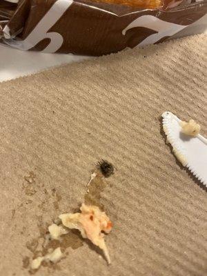 Bug in my food