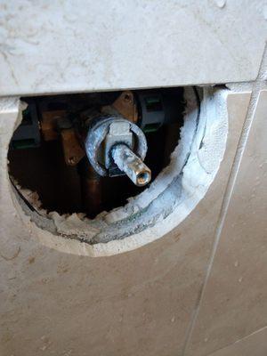 Leaking shower cartridge Moen in Palm Springs