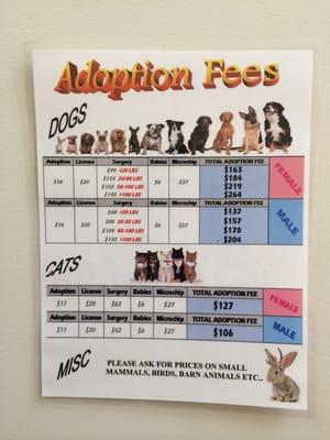 Updated adoption fees