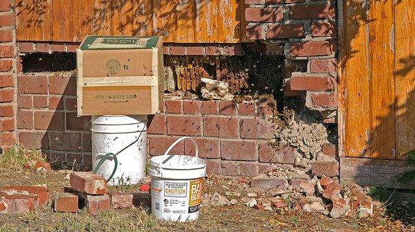 Wide shot of how big the bee hive was.