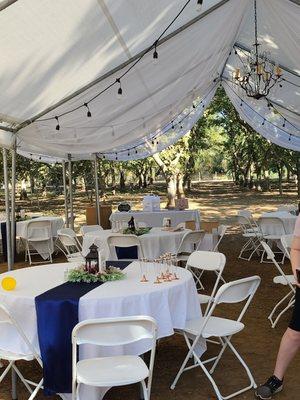 Beautiful swoop fabric with lights and chandeliers.