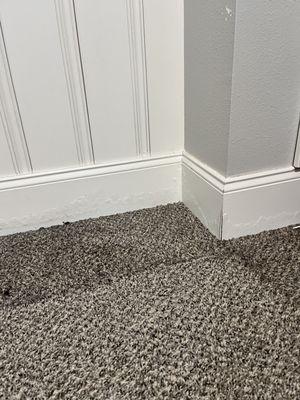 Water damage to carpet and baseboards