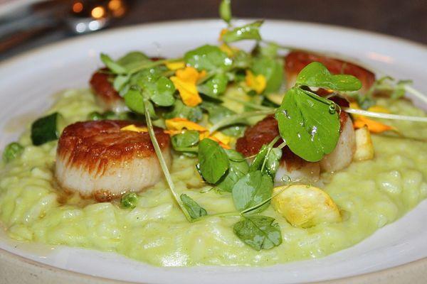 For Main Plates we had the Diver Scallop Prima Vera made with Sweet Pea Risotto, Spring Vegetables, Pea Tendrils, & Tarragon.