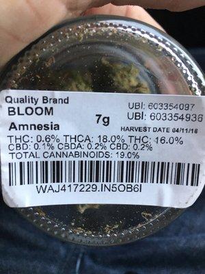 Amnesia from Quality