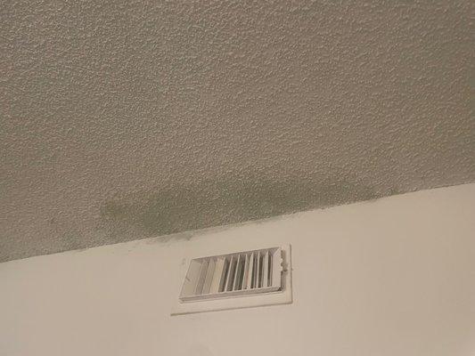 Ceiling mold