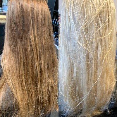 Looking to go platinum blonde? Call or email for a free color consult today! 
*color done by Michelle Young*