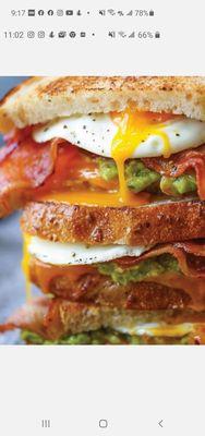 Avacado BLT