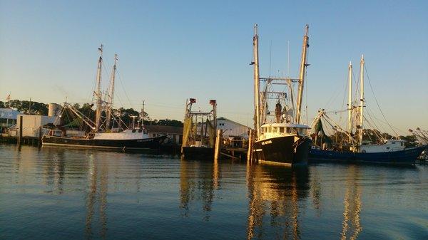 See the shrimp boats and learn about the fishing industry on a Coastal Eco Tour.