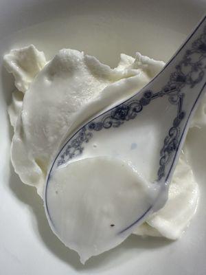 European Tart Fro-Yogurt, slightly sweet, simply delicious.