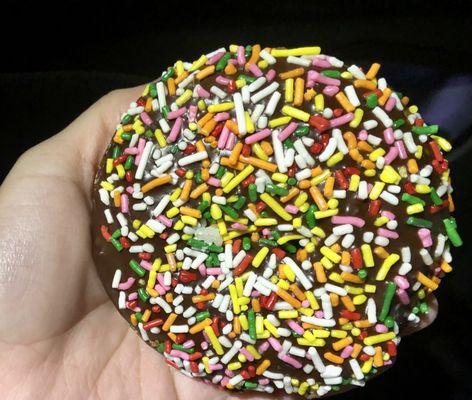 Vegan chocolate sprinkle donut