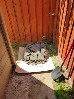 Left over concrete just dumped behind my shed.