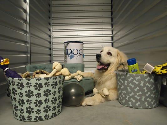 Our Ambassador of Customer Happiness, Ivan, showing off his Climate Controlled Storage Unit At Security Self Storage