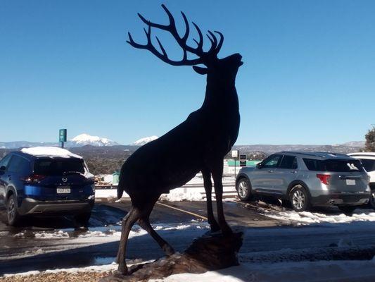 Elk statue out front.