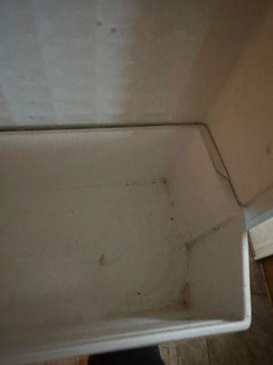 Mold/filth in refrigerator.