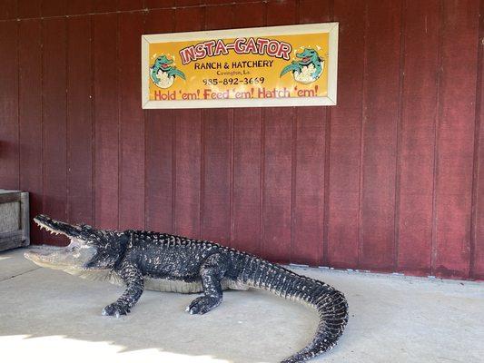 Insta-Gator Ranch