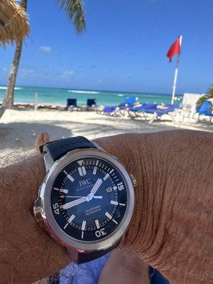 IWC in its natural environment on the beach