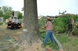 Tree Cutting Chattanooga