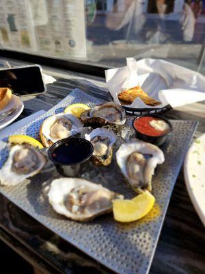 Oysters on a shell