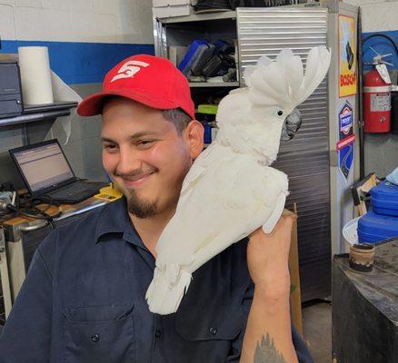 Technician Martin Rojas and Cisco