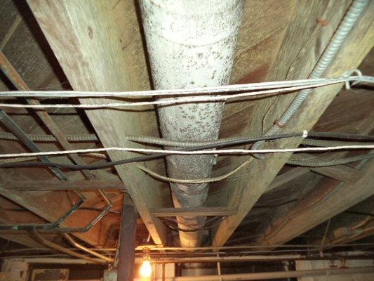 Basement ceiling joist mold before remediation