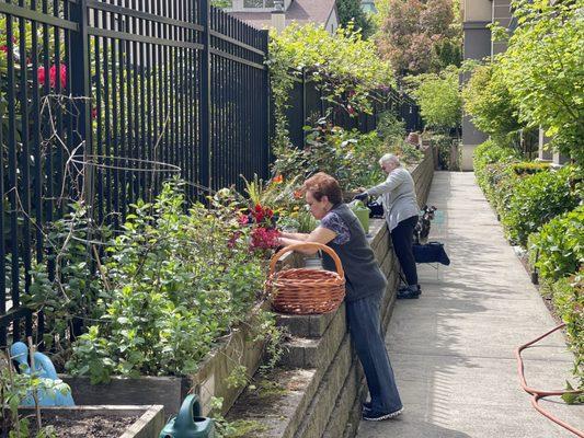 Resident gardens