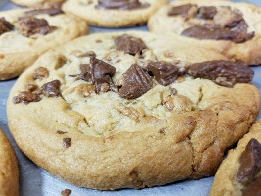 Reese's Peanut Butter Cup Cookies. Baked fresh daily. This this is a huge 1/4 pound cookie.