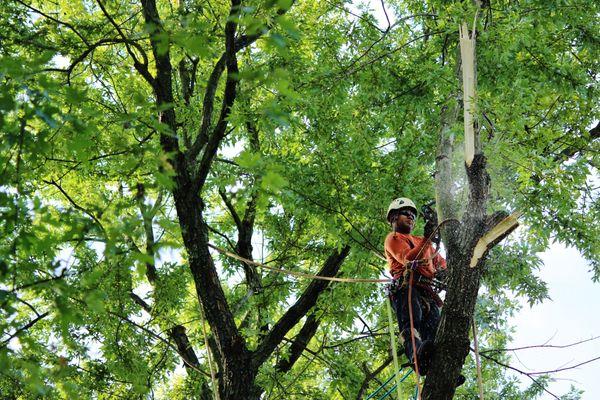 Expert climbers with professional equipment and decades of experience