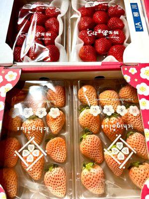 Amaou Strawberries (Red) and Awayuki Strawberries (Pink)