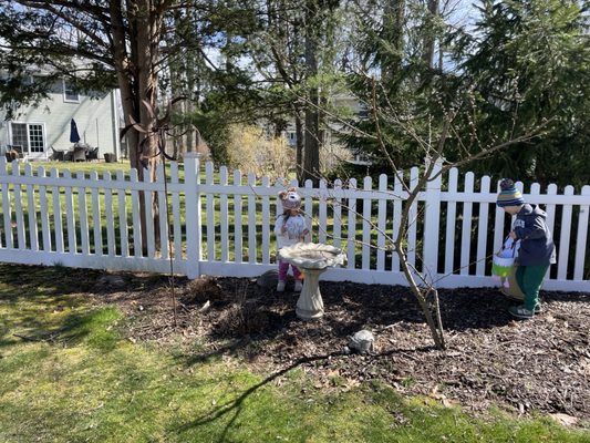 Mills Fence