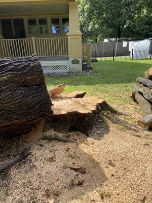 For 2 weeks, my yard had tree stump & logs lying about