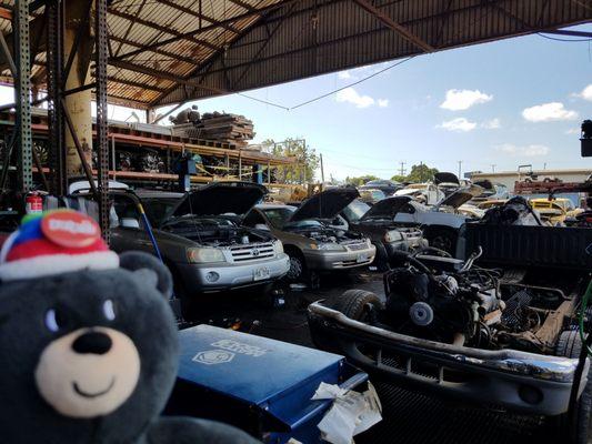 Cars awaiting to be dismantled...