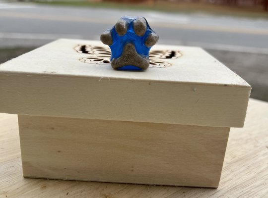 Personalized resin, 3-D paw print